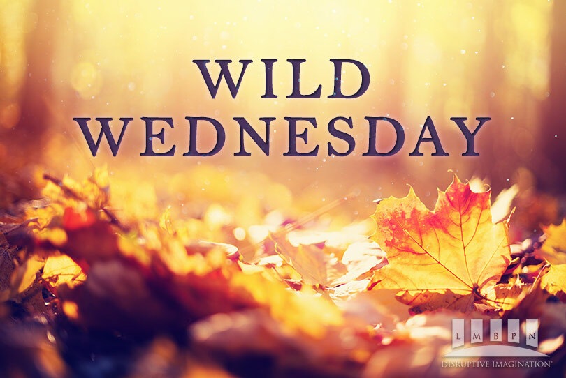 wild Wednesday banner
