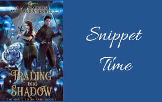 It’s Snippet Time! – Trading Into Shadow