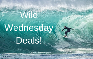 Wild Wednesday Has Finally Arrived! April 16, 2019
