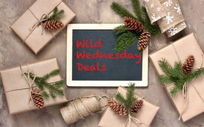 Wild Wednesday – December 18, 2019