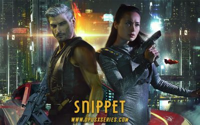 Final Enlightened Ignorance Snippet!