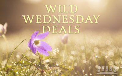 Exceptional Wild Wednesday Deals for April 15 2020
