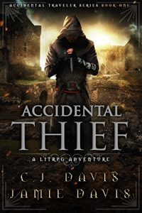 accidental thief ebook cover