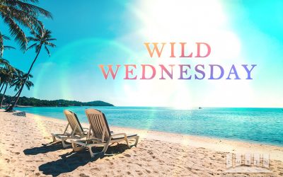 Exciting Wild Wednesday Deals for June 10, 2020