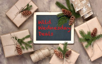 Christmas Eve Eve Wild Wednesday December 23rd, 2020