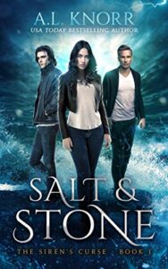 Salt & Stone e-book cover