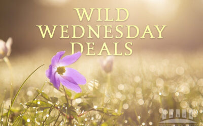 Magnificent Wild Wednesday May 11, 2022