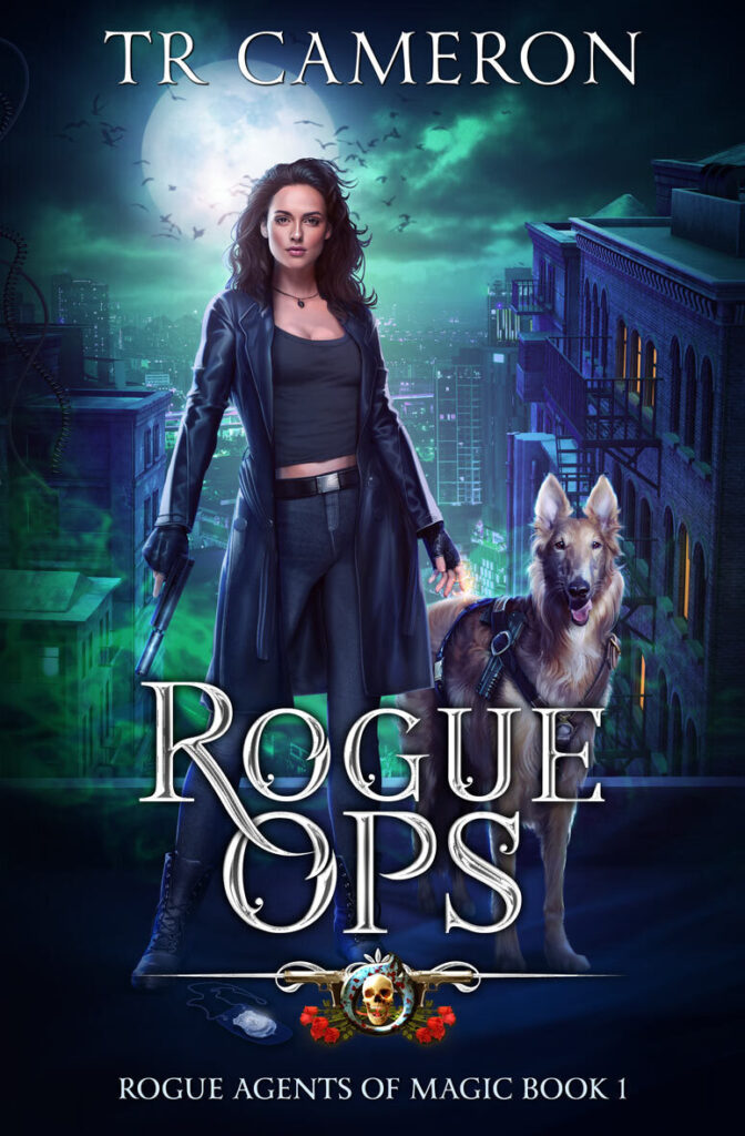 Rogue Ops e-book cover