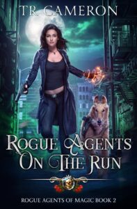 ROGUE AGENTS ON THE RUN E-BOOK COVER