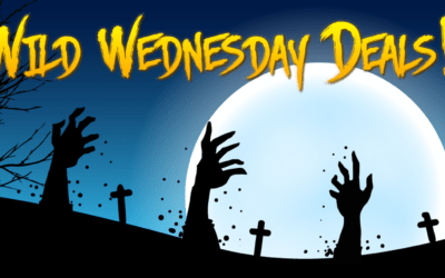 Black Cats, Broomsticks, and Wild Wednesday October 27, 2021