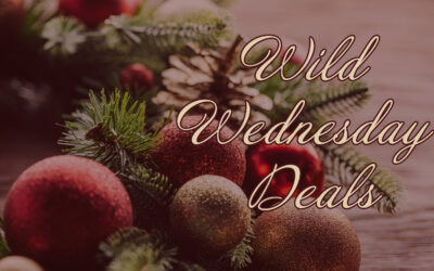 The Most Wonderful Time for Books Wild Wednesday December 7, 2022