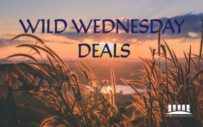 Fall is on the way, Wild Wednesday, September 2, 2026