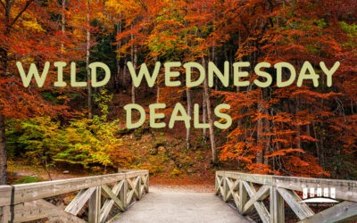 Extra Helping of Deals This Wild Wednesday, November 22, 2023