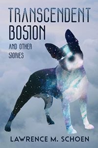Transcendent Boston e-book cover