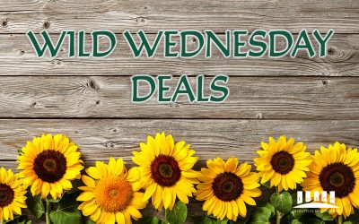 Fall in Love With Deals This Wild Wednesday September 27, 2023