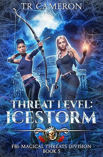 Never Too Expensive e-book cover