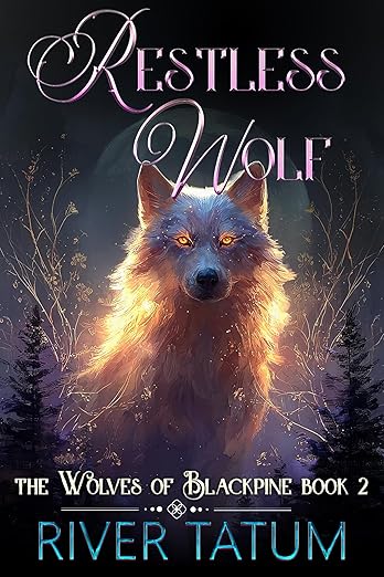 Never Too Expensive e-book cover